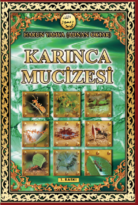 Karınca Mucizesi